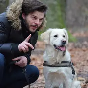 Promener son chien : Les clés pour comprendre les codes du quotidien.