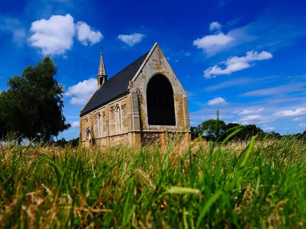 Promenons-nous dans les bois