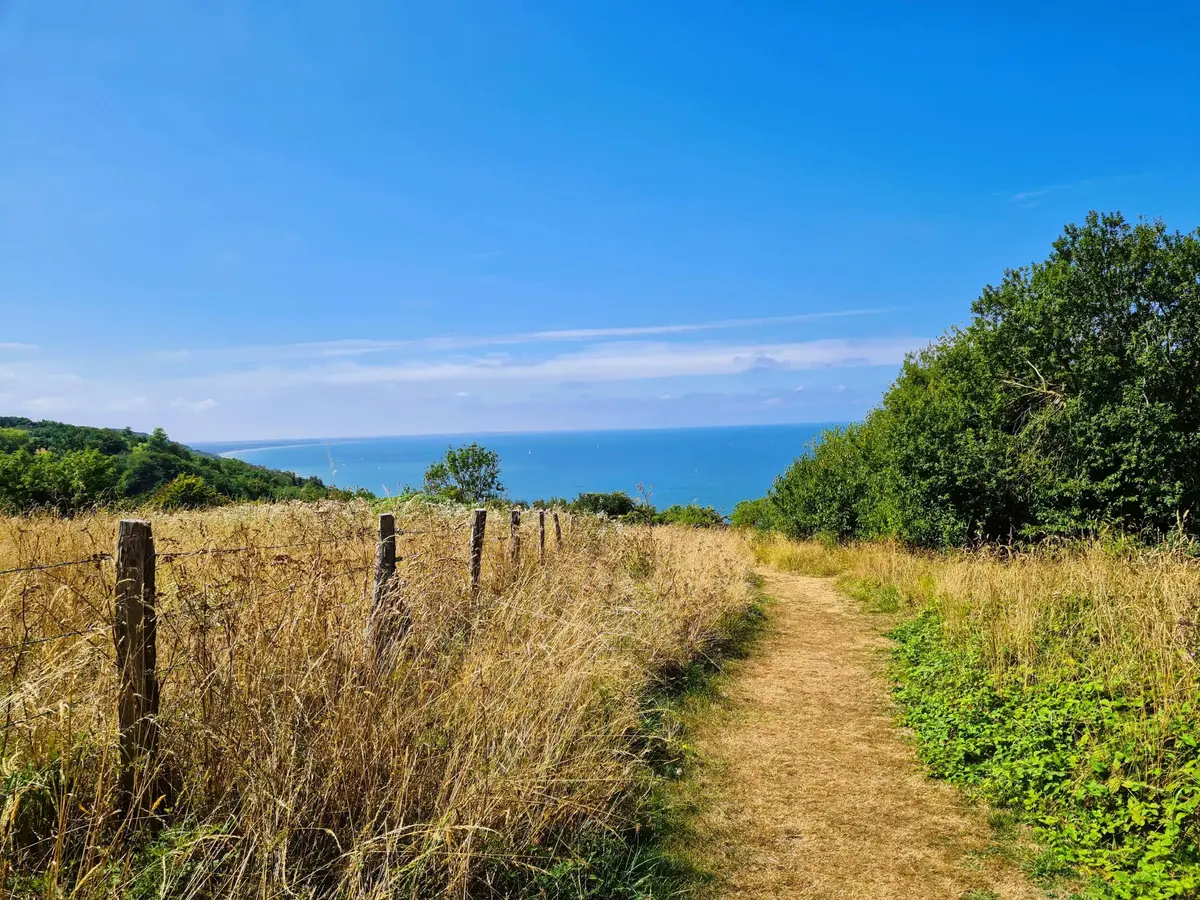 Promenons-nous sur les hauteurs des falaises des vaches noires.