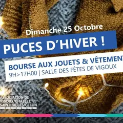 Puces d'hiver
