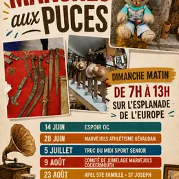 Puces Marvejols