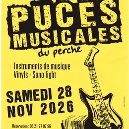 Puces musicales du Perche - 15e édition