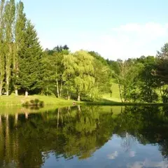 Etang de Soultzeren