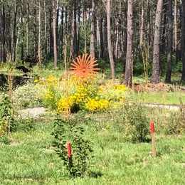 QI Gong