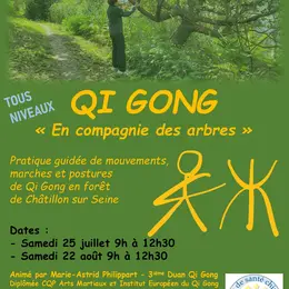 Qi Gong en compagnie des arbres