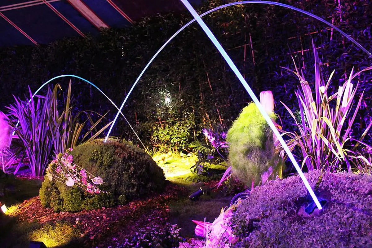 Qu'est-ce que c'est ?