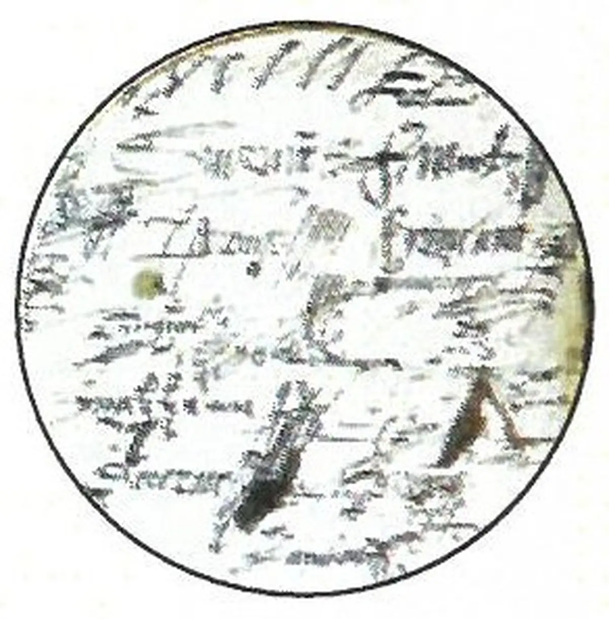 Quand catholiques et protestants vivaient ensemble à Loudun 1555-1787