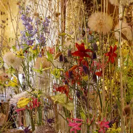 Quand fleurir est un art au Château de Chaumont-sur-Loire