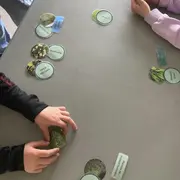 Quand la forêt rencontre l’océan