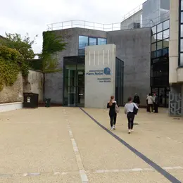 Quand notre cerveau nous joue des tours