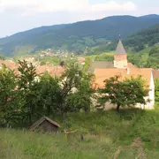 Escapade dans les Vosges : sur le sentier de la Wormsa