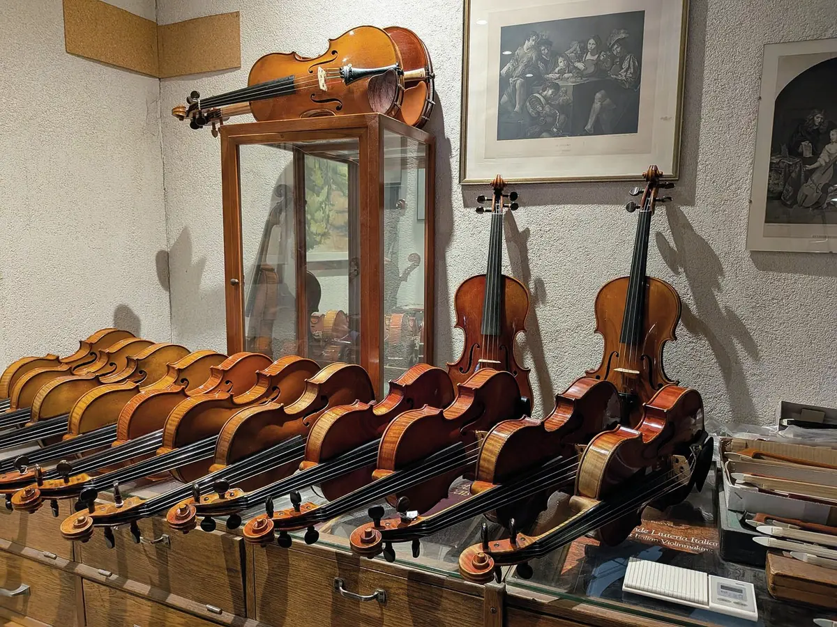 À Mulhouse, ce luthier fait chanter violons, altos et violoncelles depuis 45 ans