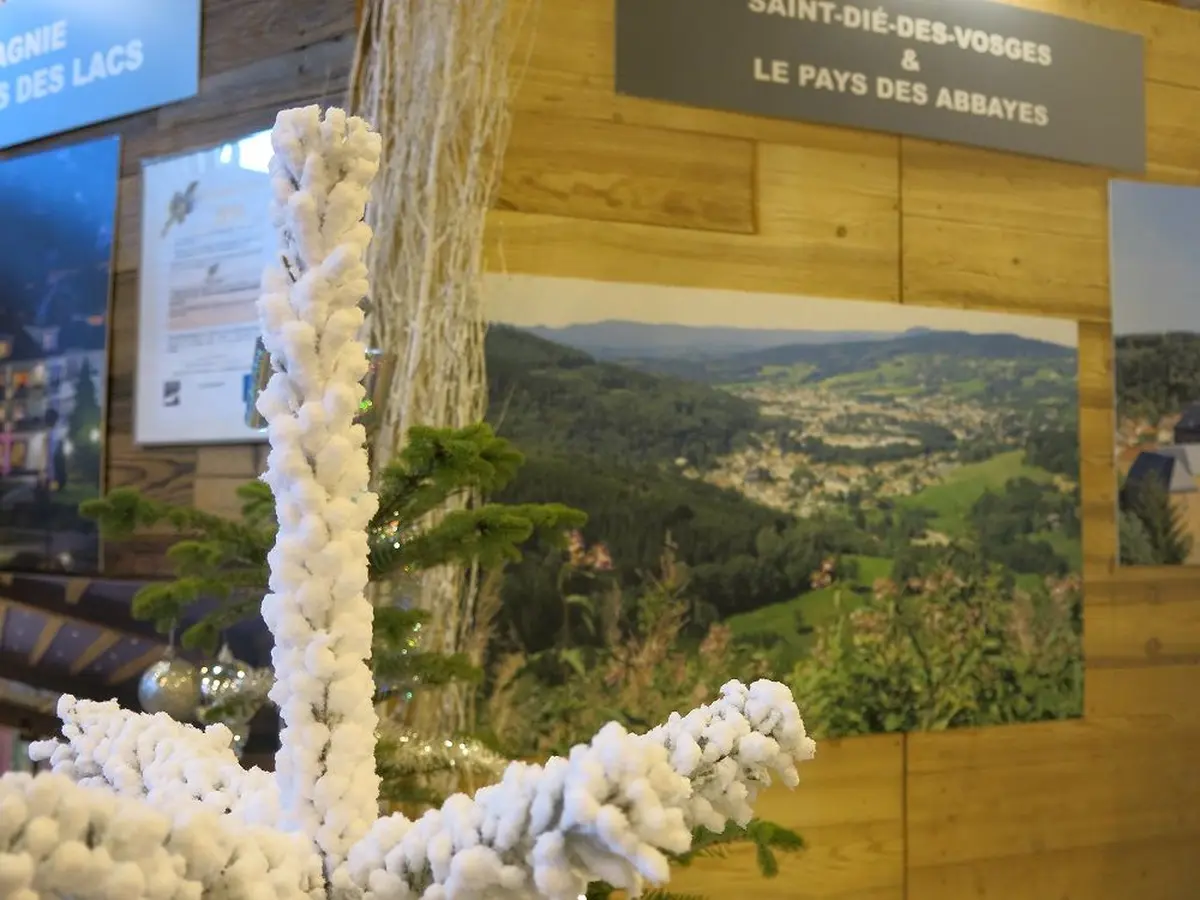 Saint-Dié-des-Vosges, tout un territoire 