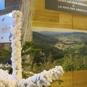 Nos idées sorties dans les Vosges