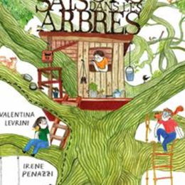 Quatre saisons dans les arbres