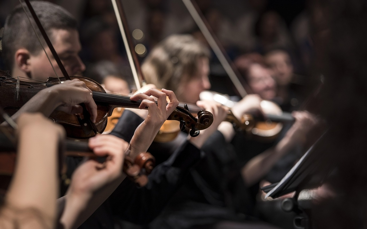 Quatuor de Violoncelles