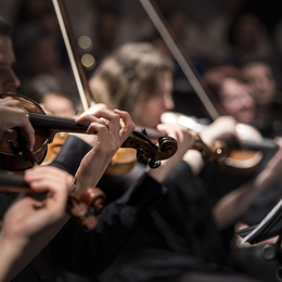 Quatuor de Violoncelles