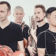 Quatuor Diotima, cordes