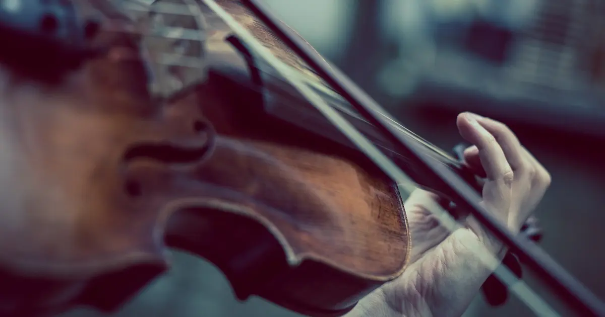 Quatuor érable