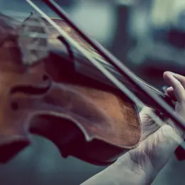 Quatuor érable