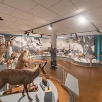 Musée d'Histoire naturelle et d'Ethnographie &copy; Page Facebook du Musée d'Histoire Naturelle et d'Ethnographie