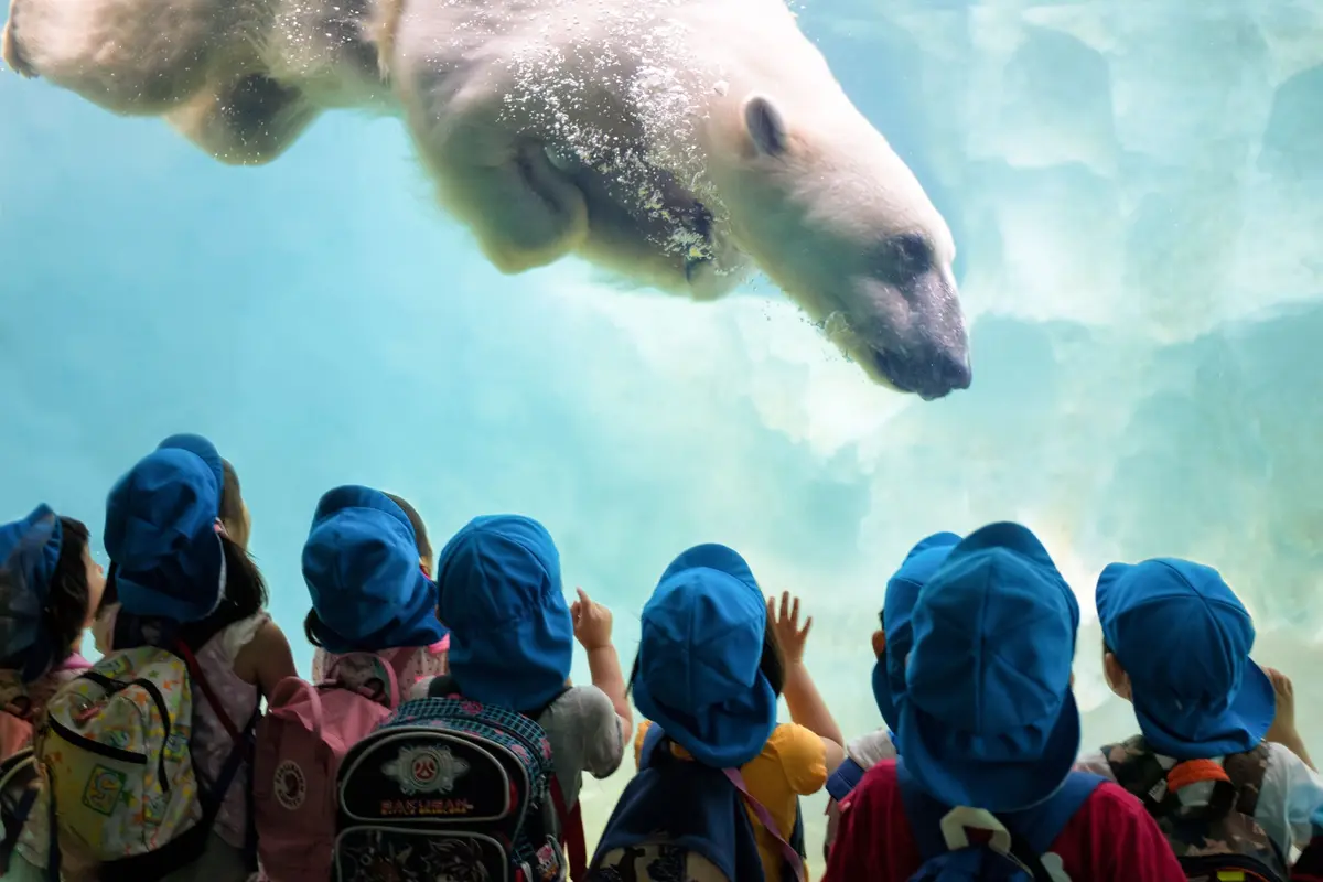 Que faire à Mulhouse avec des enfants ? 10 idées de sorties en famille