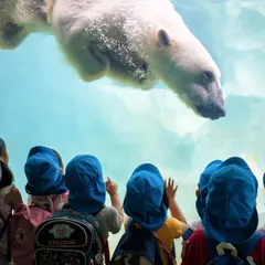 Que faire à Mulhouse avec des enfants ? 10 idées de sorties en famille