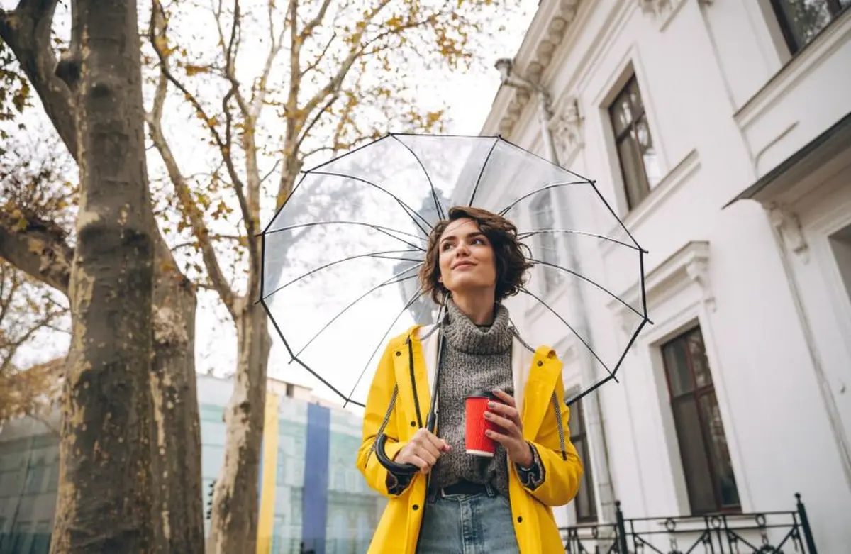 5 idées sortie pour ce week-end pluvieux à Limoges