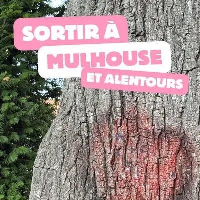 Mulhouse : nos idées sorties du week-end