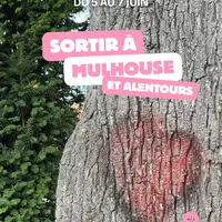 Que faire ce week-end autour de Mulhouse ? Nos idées sorties du 5 au 7 juin 2026 DR