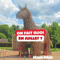 Que faire dans le Haut-Rhin en juillet ? Les sorties à ne pas manquer cet été DR