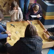 Que nous racontent les fossiles