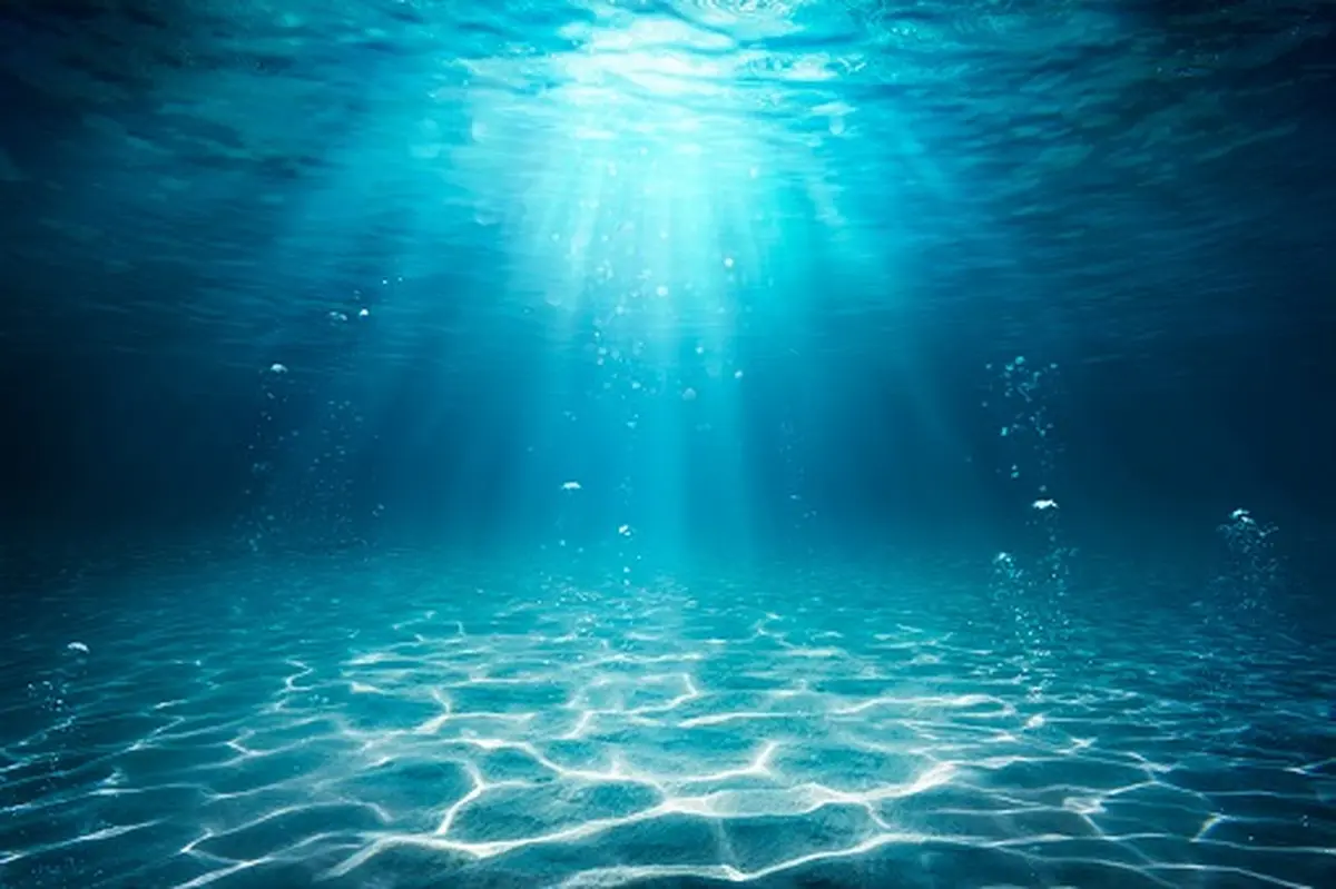 Quelle Mer Voulons-Nous ?