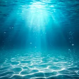 Quelle Mer Voulons-Nous ?