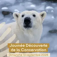 Quelles sorties dans le Haut-Rhin du 11 au 13 septembre 2026 ? 5 idées pour un week-end réussi &copy; Parc Zoologique et Botanique de Mulhouse
