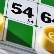 Quine APE de Lioujas