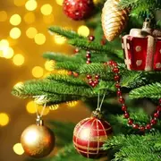 Quinzaine commerciale de Noël : Anima'Cars