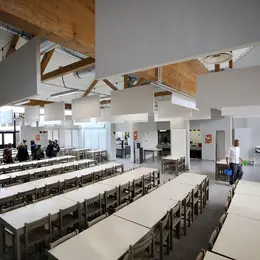 Quinzaine Du Goût : D'Où Viennent Les Légumes De La Cantine