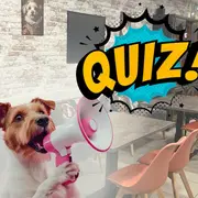 Quizz