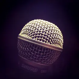 Quizz musical et karaoké