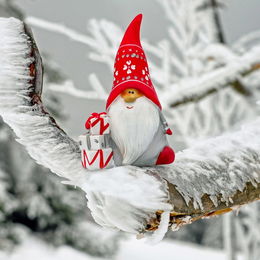 Racontages de Noël