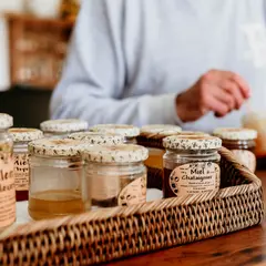 Raconte-Moi L'Abeille