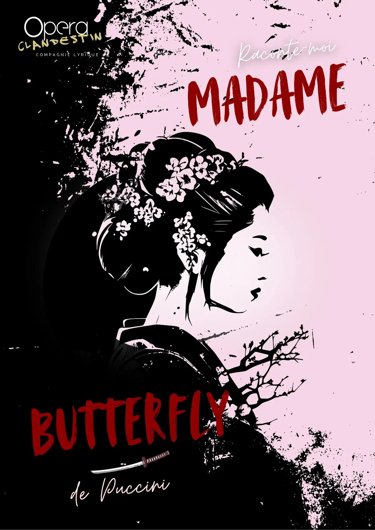 Raconte-moi Madame Butterfly