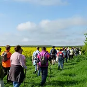 Radonnée gourmande semi-nocturne