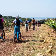 Raid panoramique en trottinette à Leucate (11)