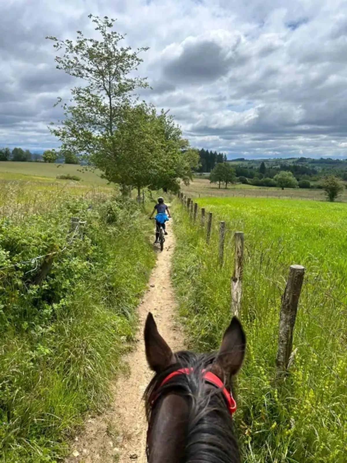 Rallye de l'Etrier de Lunel
