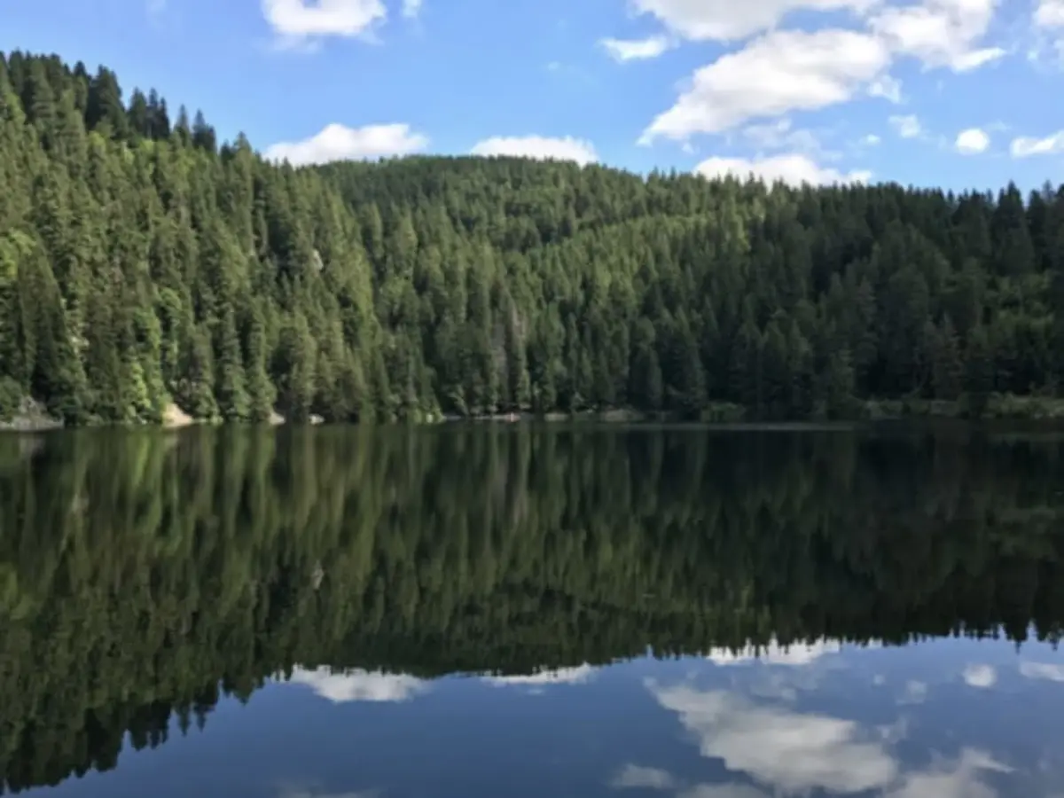 Rallye Découverte des lacs vosgiens (68)