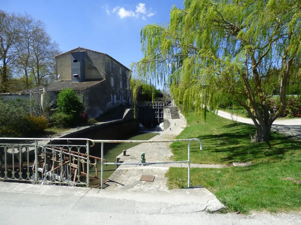 Rallye Du Canal Du Midi En Aviron - étapes 3 Et 4