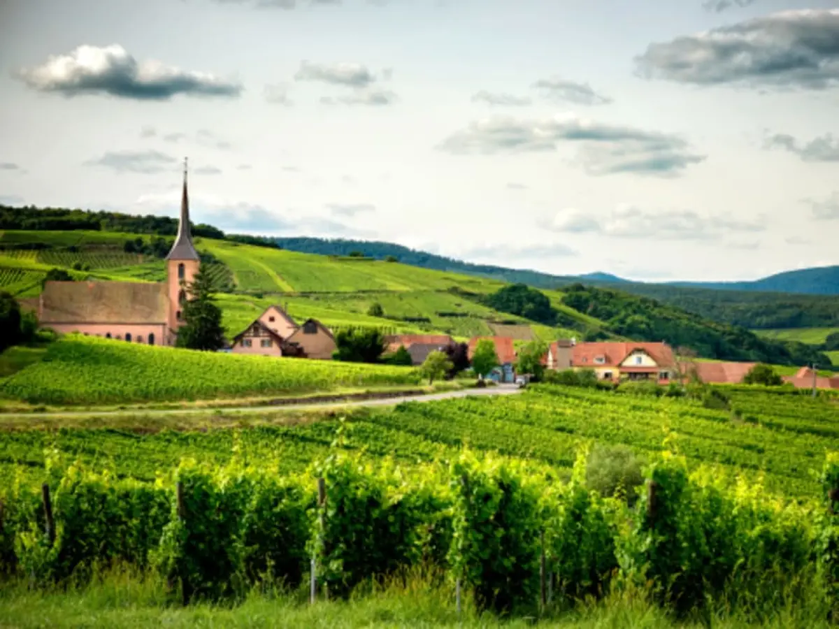 Rallye en autonomie sur la Route des Vins d’Alsace