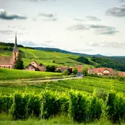Rallye en autonomie sur la Route des Vins d’Alsace
